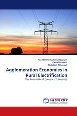 Agglomeration Economies in Rural Electrification