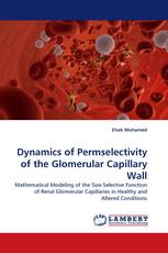 Dynamics of Permselectivity of the Glomerular Capillary Wall