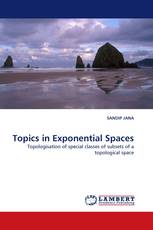 Topics in Exponential Spaces