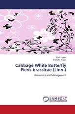 Cabbage White Butterfly Pieris brassicae (Linn.)