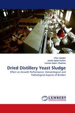 Dried Distillery Yeast Sludge