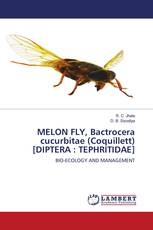 MELON FLY, Bactrocera cucurbitae (Coquillett) [DIPTERA : TEPHRITIDAE]