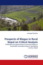 Prospects of Biogas in Rural Nepal on Critical Analysis