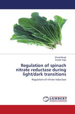 Regulation of spinach nitrate reductase during light/dark transitions