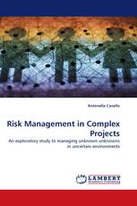 Risk Management in Complex Projects