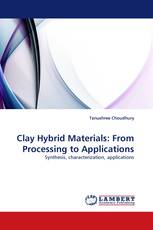 Clay Hybrid Materials: From Processing to Applications