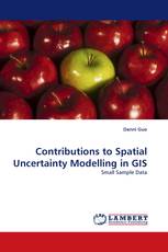 Contributions to Spatial Uncertainty Modelling in GIS