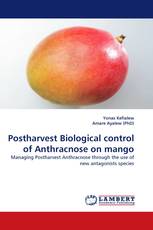 Postharvest Biological control of Anthracnose on mango