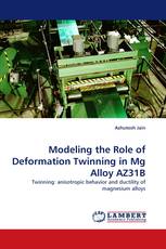 Modeling the Role of Deformation Twinning in Mg Alloy AZ31B