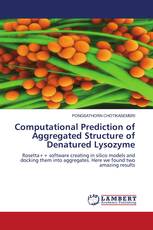 Computational Prediction of Aggregated Structure of Denatured Lysozyme