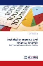 Technical-Economical and Financial Analysis