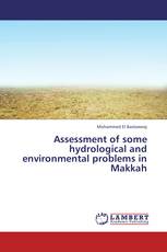 Assessment of some hydrological and environmental problems in Makkah
