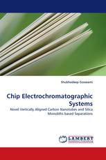 Chip Electrochromatographic Systems