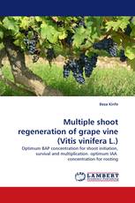 Multiple shoot regeneration of grape vine (Vitis vinifera L.)