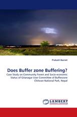 Does Buffer zone Buffering?