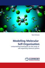 Modelling Molecular  Self-Organisation
