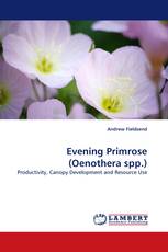Evening Primrose (Oenothera spp.)