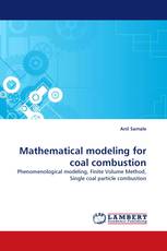 Mathematical modeling for coal combustion