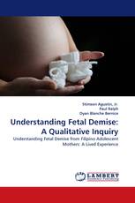 Understanding Fetal Demise: A Qualitative Inquiry