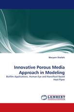 Innovative Porous Media Approach in Modeling