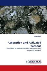 Adsorption and Activated carbons