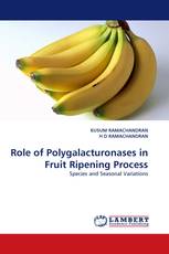 Role of Polygalacturonases in Fruit Ripening Process