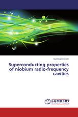 Superconducting properties of niobium radio-frequency cavities