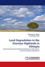 Land Degradation in the Oromiya Highlands in Ethiopia