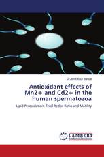 Antioxidant effects of Mn2+ and Cd2+ in the human spermatozoa