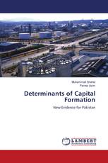 Determinants of Capital Formation