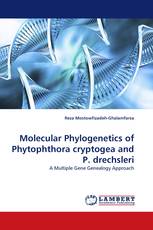 Molecular Phylogenetics of Phytophthora cryptogea and P. drechsleri