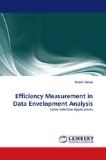 Efficiency Measurement in Data Envelopment Analysis