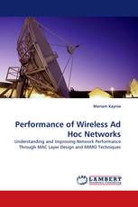 Performance of Wireless Ad Hoc Networks