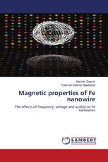 Magnetic properties of Fe nanowire