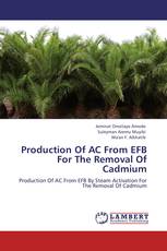 Production Of AC From EFB For The Removal Of Cadmium