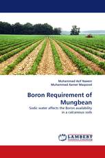 Boron Requirement of Mungbean