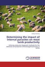 Determining the impact of internal parasites on meat lamb productivity