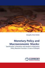 Monetary Policy and Macroeconomic Shocks: