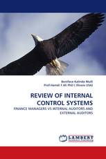 REVIEW OF INTERNAL CONTROL SYSTEMS