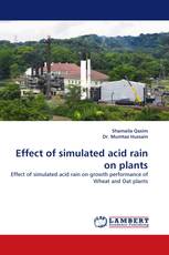 Effect of simulated acid rain on plants