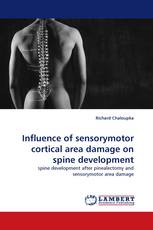 Influence of sensorymotor cortical area damage on spine development