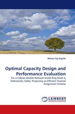 Optimal Capacity Design and Performance Evaluation