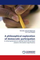 A philosophical exploration of democratic participation