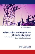 Privatization and Regulation of Electricity Sector