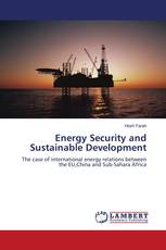 Energy Security and Sustainable Development