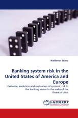 Banking system risk in the United States of America and Europe