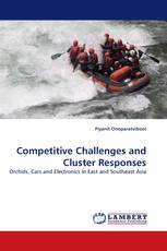 Competitive Challenges and Cluster Responses