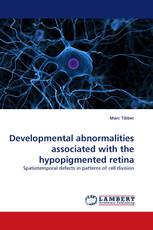 Developmental abnormalities associated with the hypopigmented retina