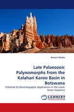 Late Palaeozoic Palynomorphs from the Kalahari Karoo Basin in Botswana