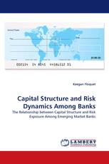 Capital Structure and Risk Dynamics Among Banks